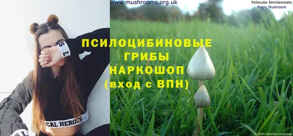 Альфа ПВП Абдулино