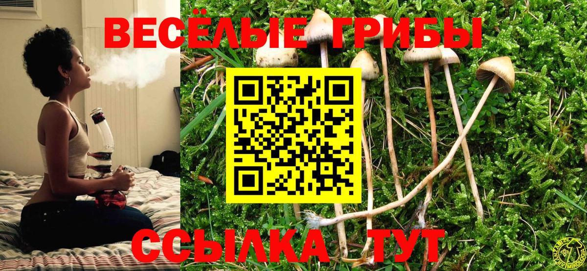Краснодар  Псилоцибиновые грибы прущие грибы  Вход с VPN  Псилоцибиновые грибы Psilocybine cubensis 